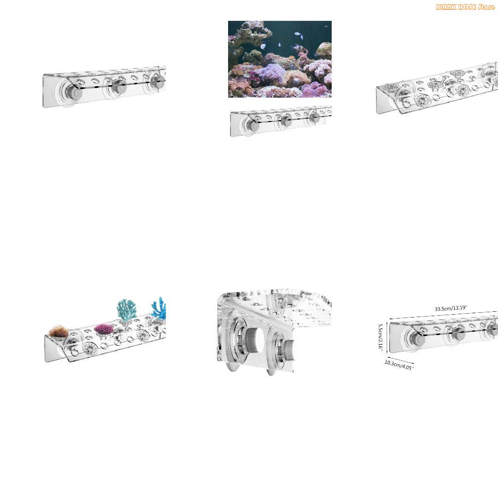Reef Aquarium - K1AE Acrylic Hô Frag Giá Để