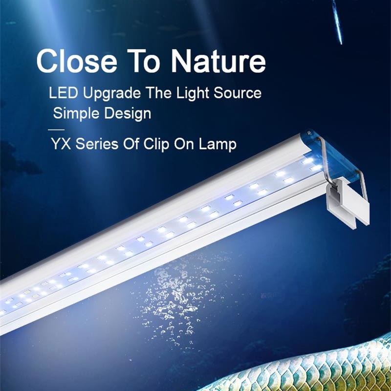 Aquarium Marine Lights - Mở rộng không thấm nước Clip