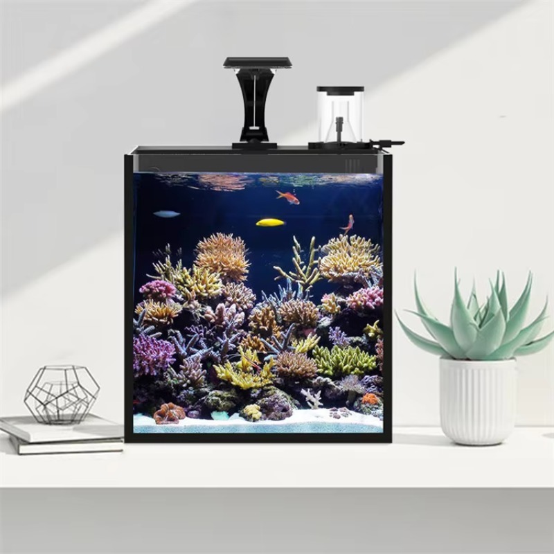 Ultra Clear Glass Mini Salt Wa - đánh giá và giá Marine Aquarium Cube