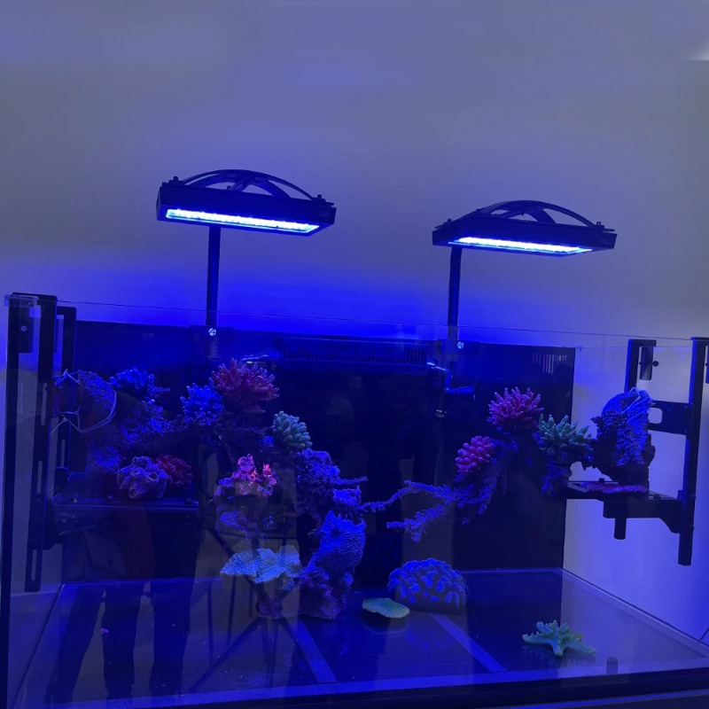 Full Spectrum APP Controls Cor - đánh giá và giá Reef Lighting