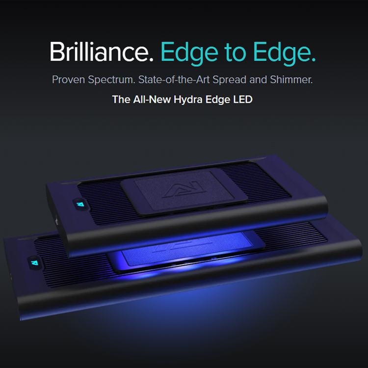 Next-Gen AI Hydra 44/68 HD Ree - đánh giá và giá Reef Lighting