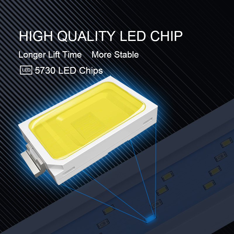 Mở rộng không thấm nước Clip t - đánh giá và giá Aquarium Marine Lights