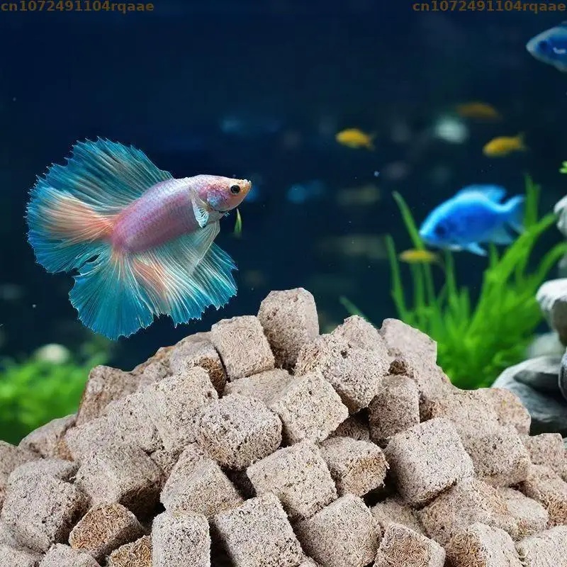 Natural Freeze Dried Bloodworm - đánh giá và giá Marine Aquarium Cube