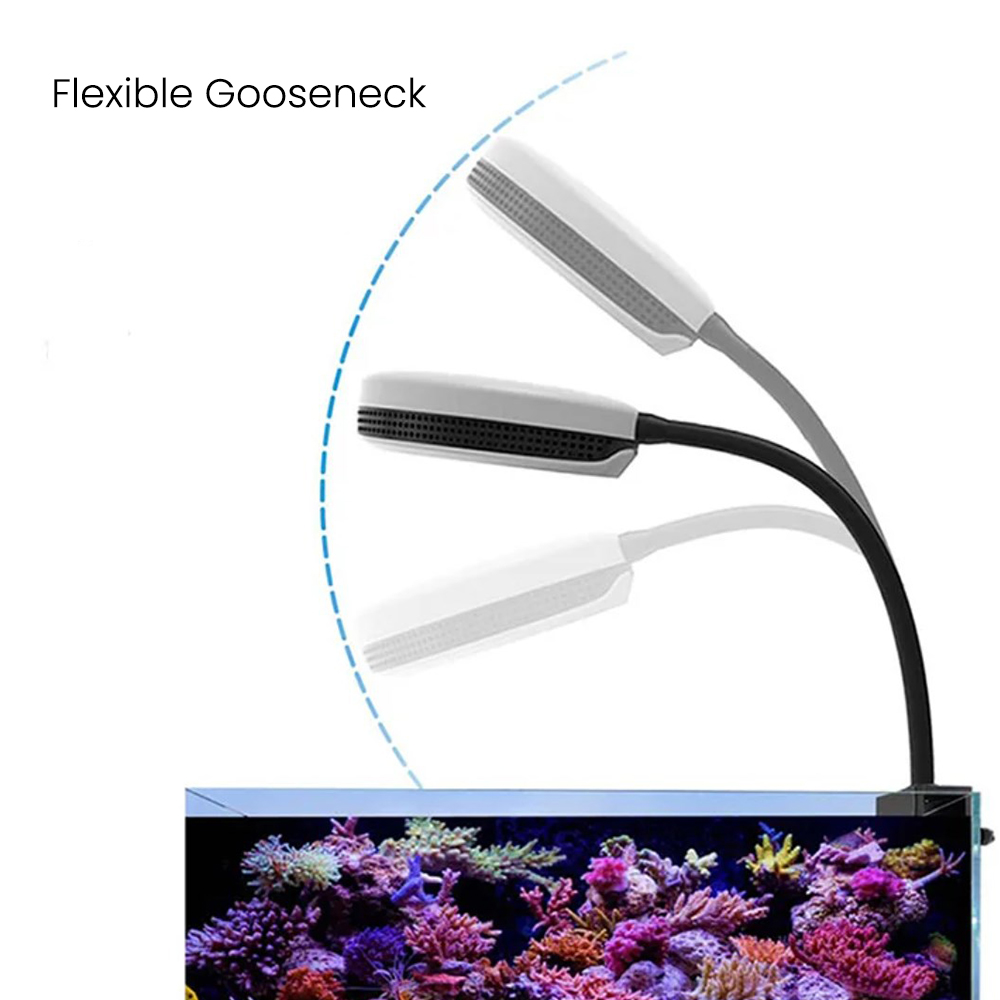Spectra SP20 20W Aquarium LED  - đánh giá và giá Marine Coral