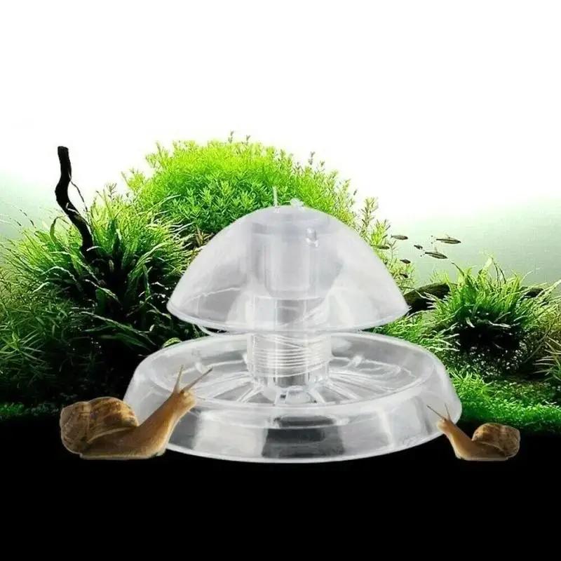 2026 New 6/8CM Clear Plastic S - đánh giá và giá Marine Aquarium