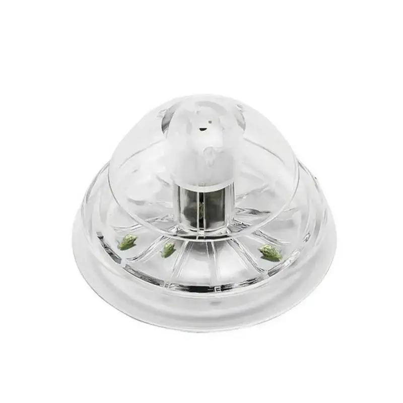 2026 New 6/8CM Clear Plastic S - đánh giá và giá Marine Aquarium