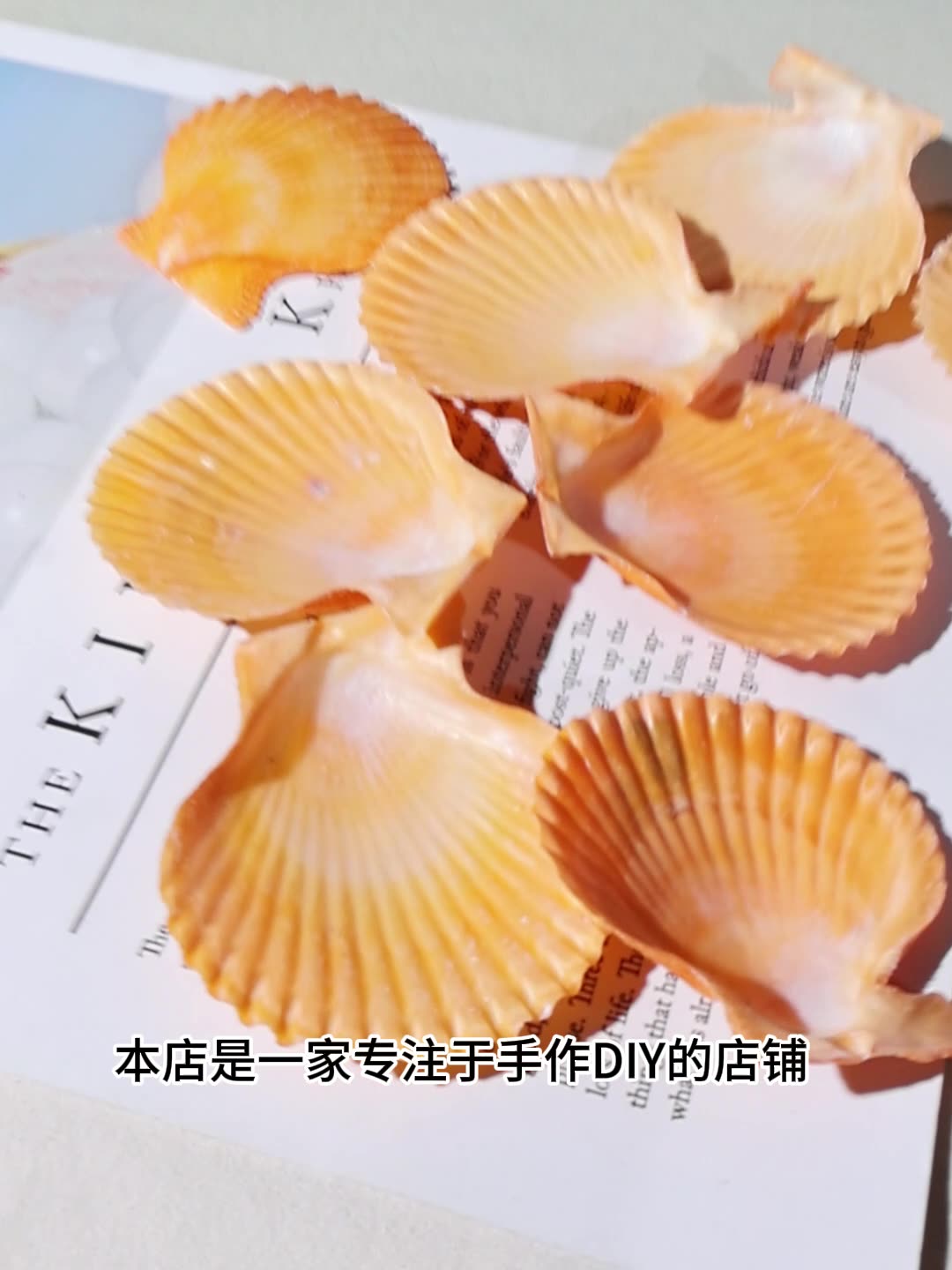 Best Yellow scallop shell fish - đánh giá và giá Marine Fish Tank
