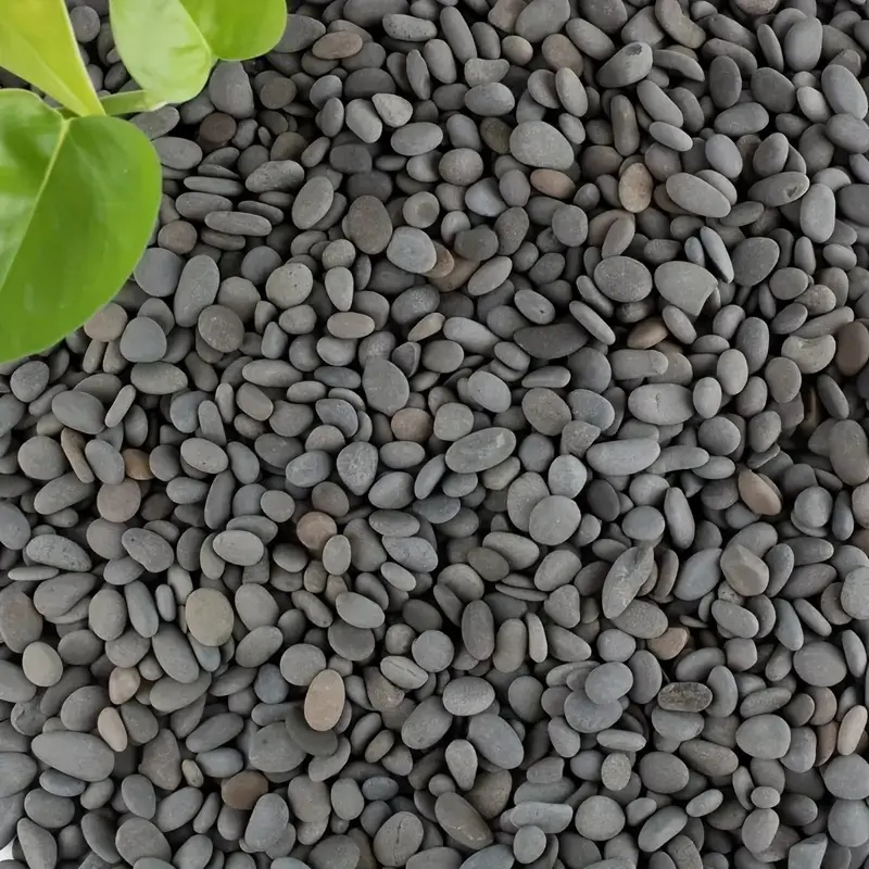 20Pcs Natural River Rocks Smoo - đánh giá và giá Marine Fish Tank