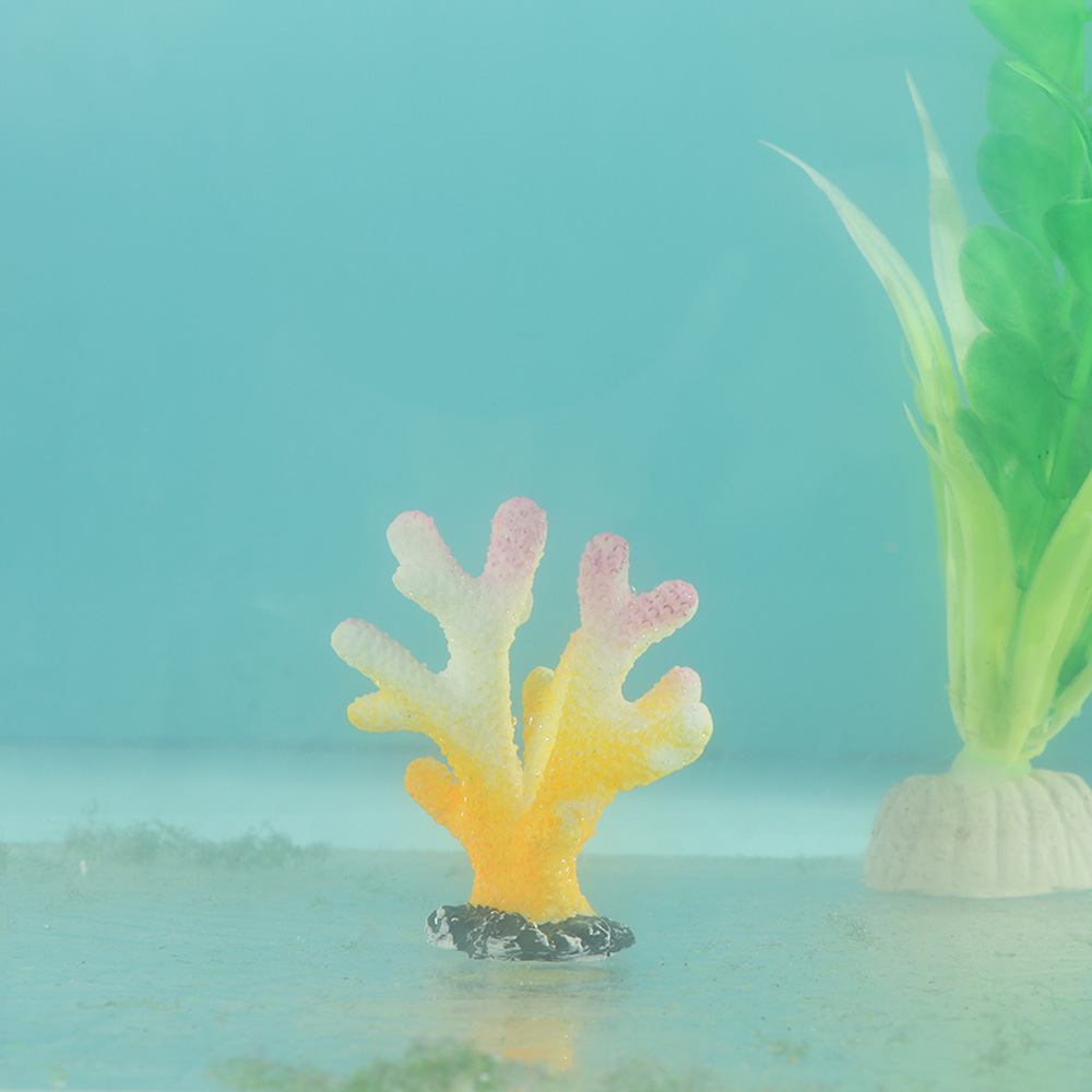 San Hô Nhân Tạo Cá Đồ Trang Tr - đánh giá và giá Reef Aquarium
