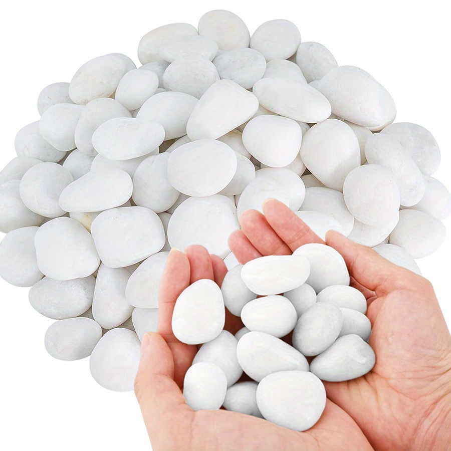 200/400g White High Polished N - đánh giá và giá Marine Fish Tank