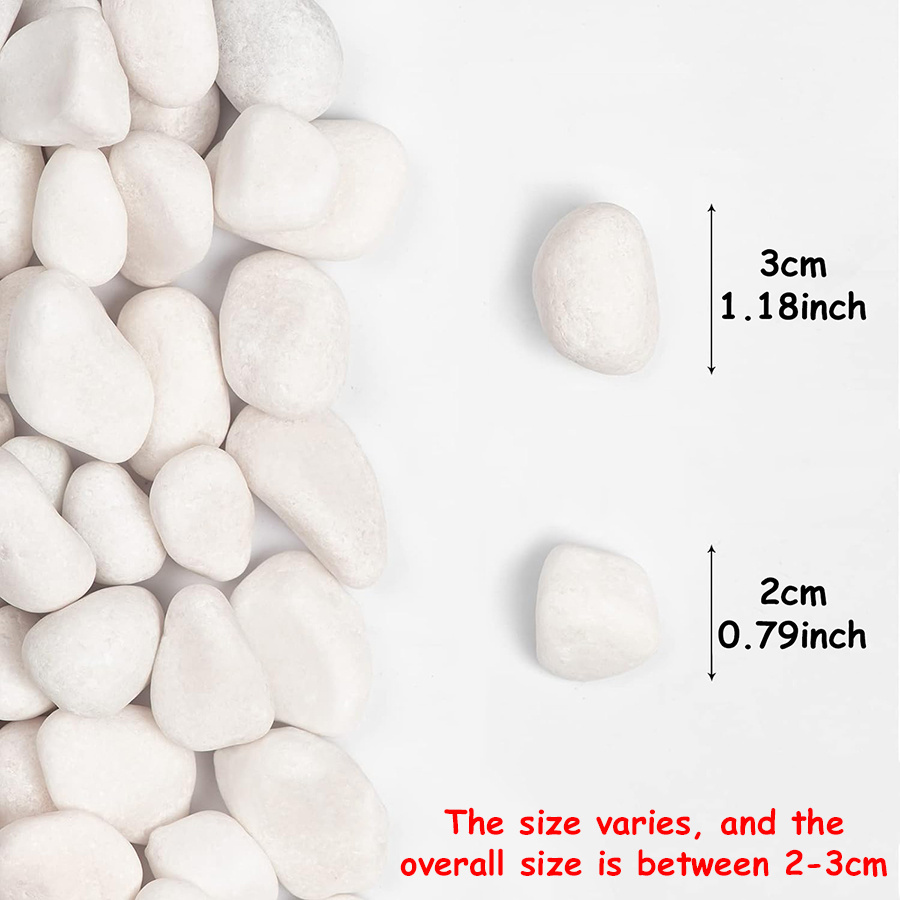200/400g White High Polished N - đánh giá và giá Marine Fish Tank