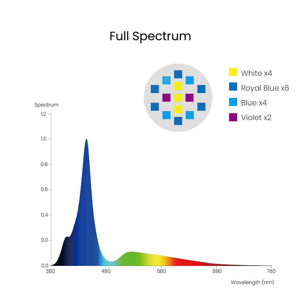 Spectra Aqua Knight V3 75W Pro - đánh giá và giá Marine Coral