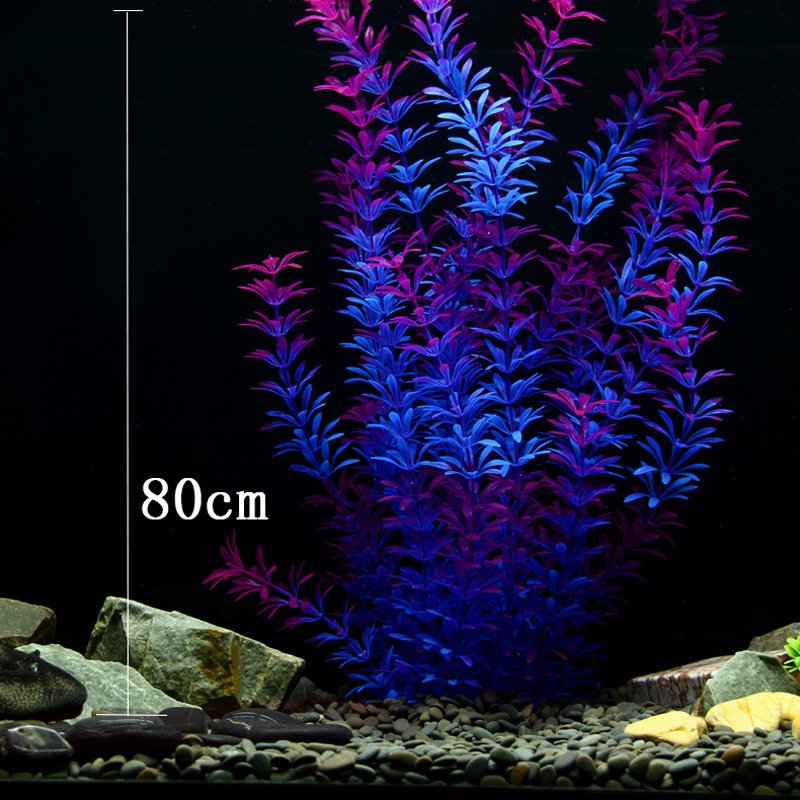 100Cm Thực Vật Nhiệt Đới Lớn N - đánh giá và giá Marine Fish Tank