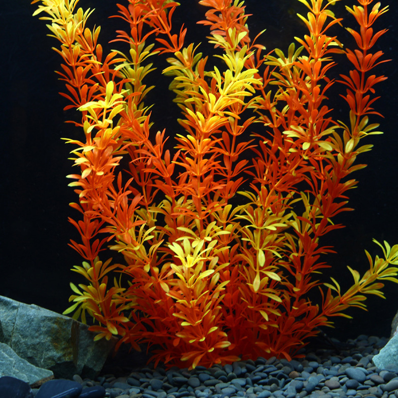 100Cm Thực Vật Nhiệt Đới Lớn N - đánh giá và giá Marine Fish Tank