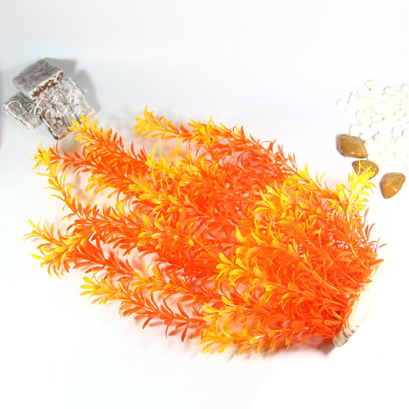 100Cm Thực Vật Nhiệt Đới Lớn N - đánh giá và giá Marine Fish Tank