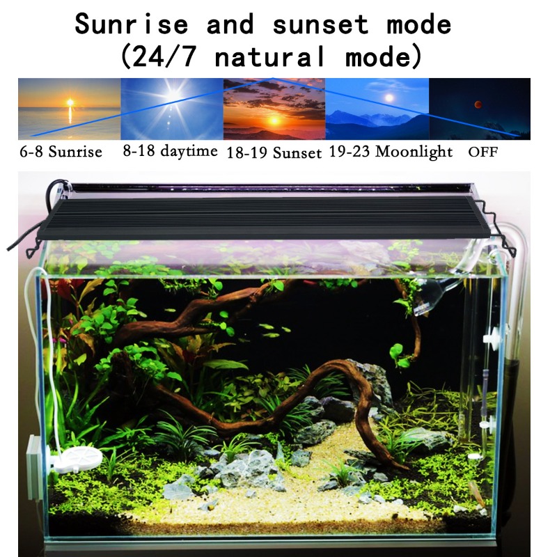 LED Fish Tank Light Full Spect - đánh giá và giá Reef Aquarium