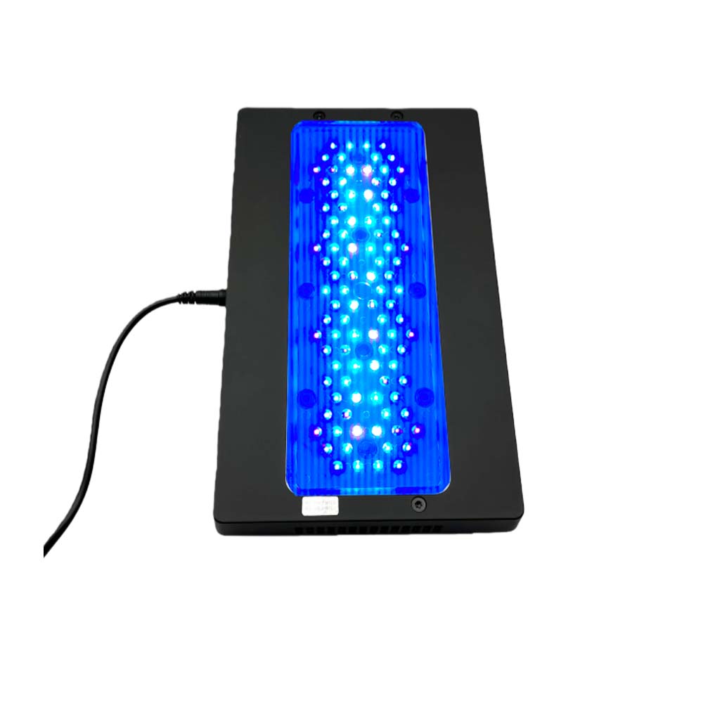 A8 III Moon light Powerful Mar - đánh giá và giá Marine Coral