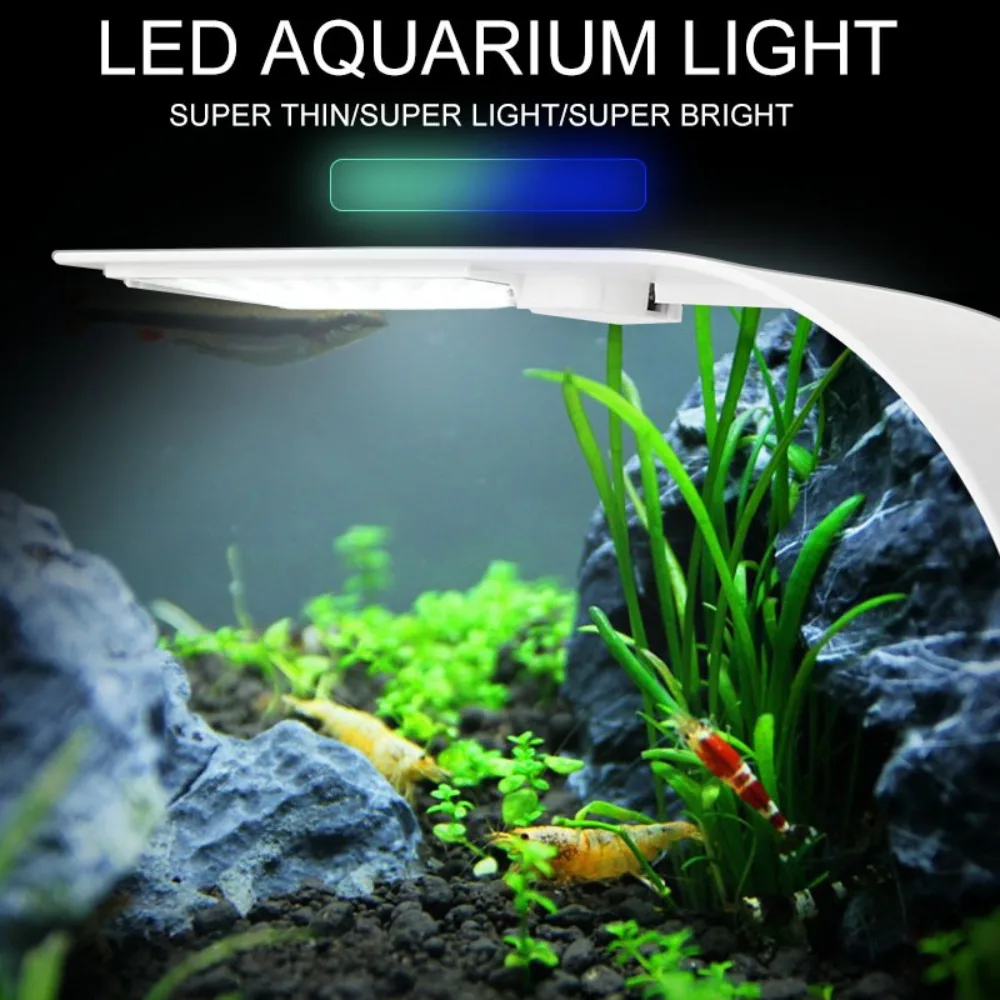 5W Mini LED Aquarium Light, Ul - đánh giá và giá Reef Lighting