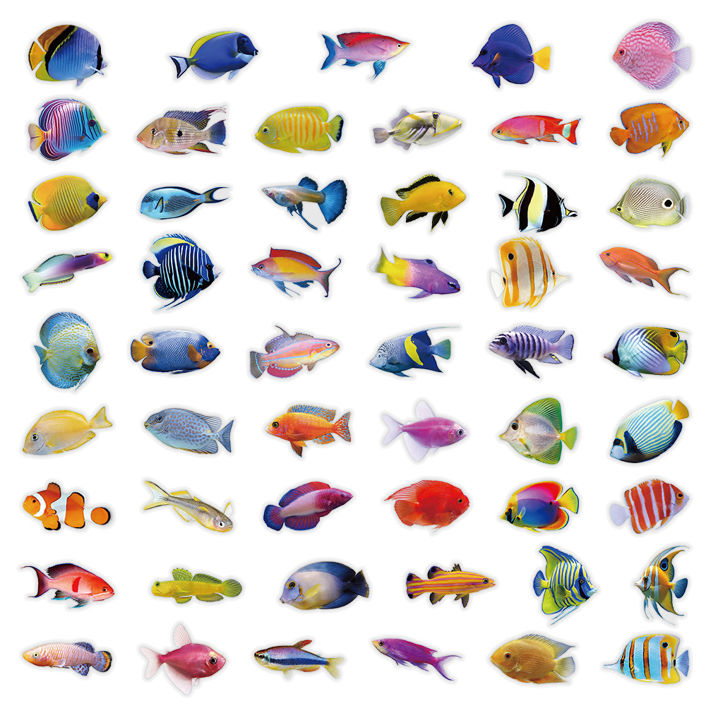 50-100PCS Transparent PET Cora - đánh giá và giá Marine Coral