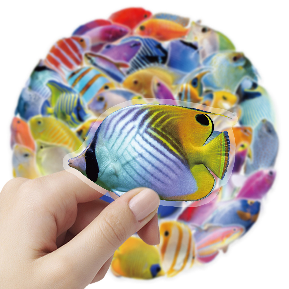 50-100PCS Transparent PET Cora - đánh giá và giá Marine Coral