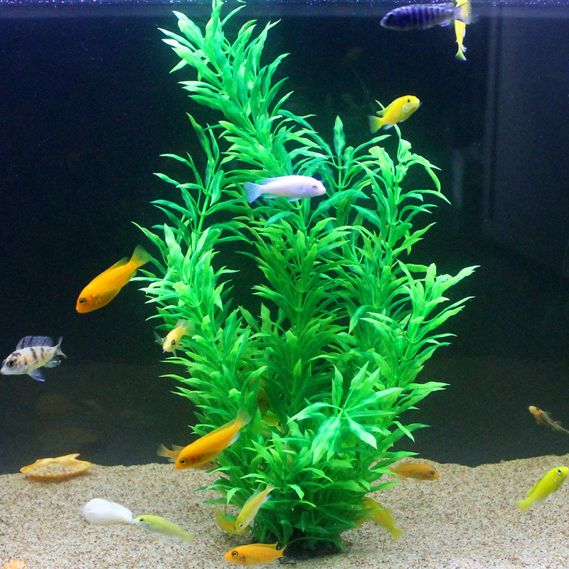 50CM Nhân Tạo Cá Thực Vật Quý  - đánh giá và giá Marine Fish Tank