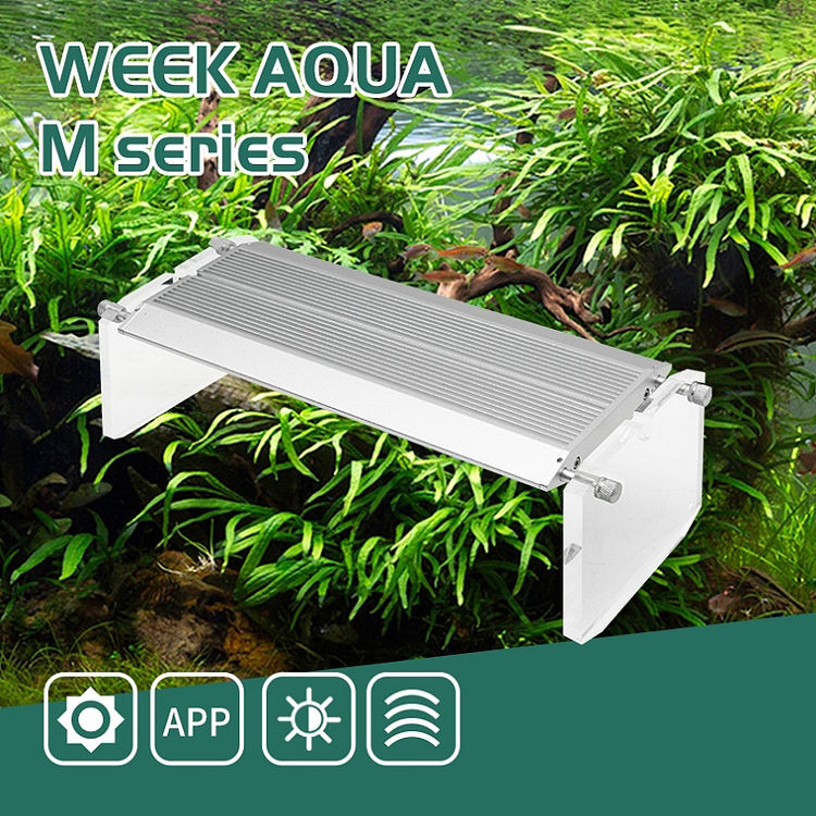 WEEK AQUA Aquarium Led Vivid L - đánh giá và giá Reef Lighting