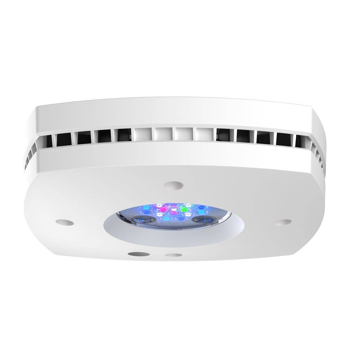 Prime 16 HD LED Reef Light, Or - đánh giá và giá Reef Lighting