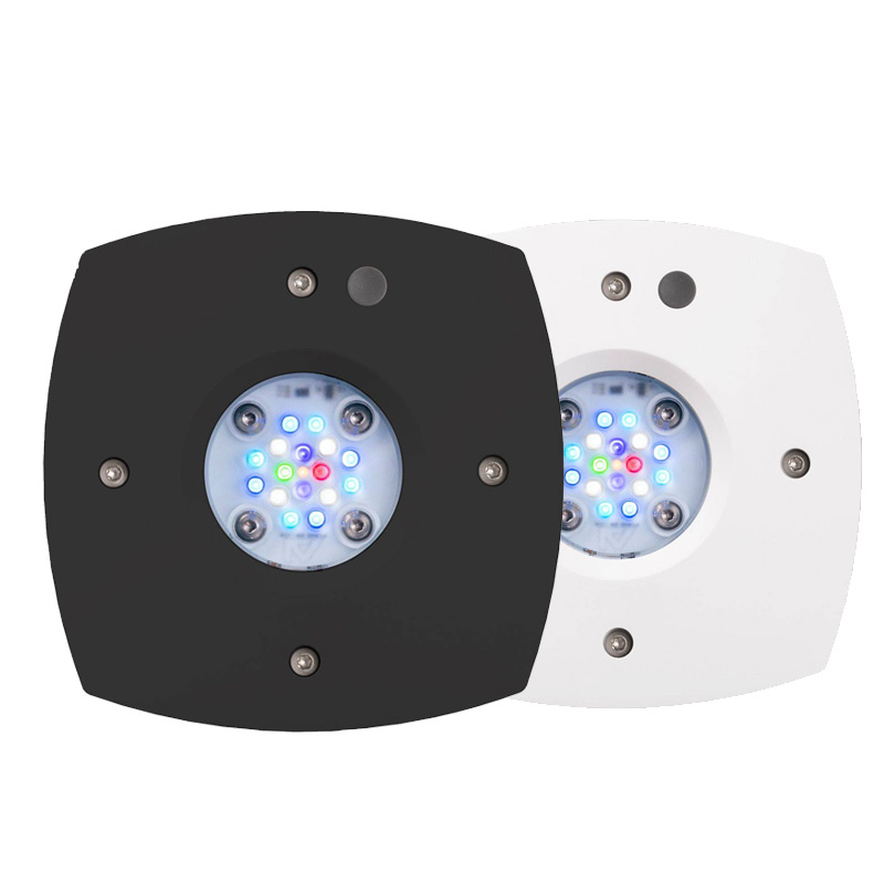 Prime 16 HD LED Reef Light, Or - đánh giá và giá Reef Lighting