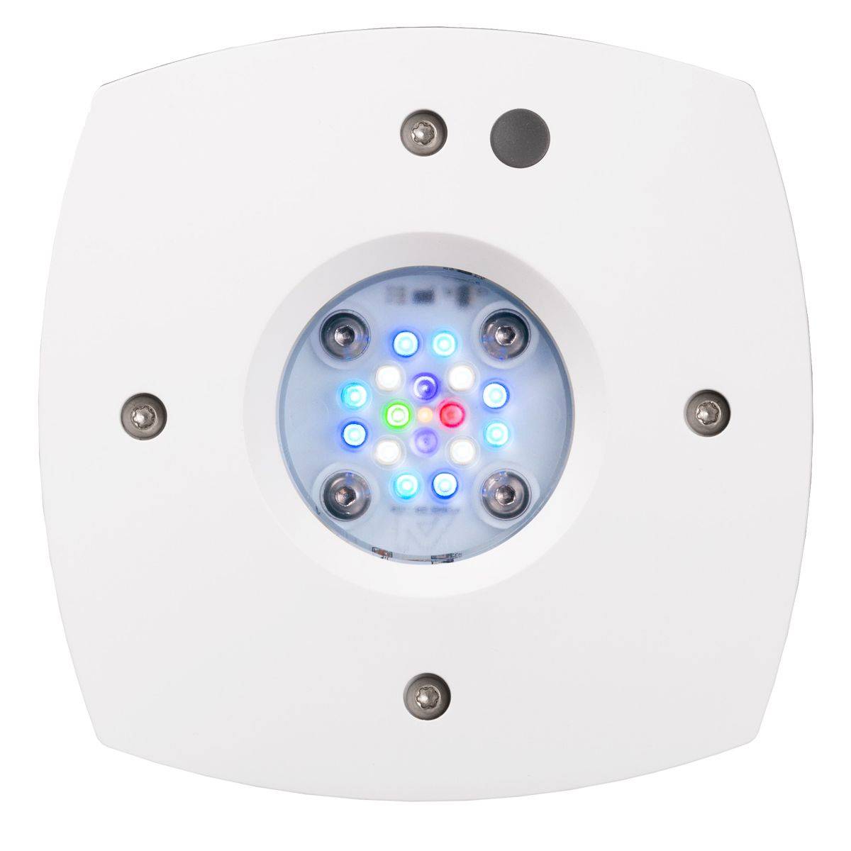 Prime 16 HD LED Reef Light, Or - đánh giá và giá Reef Lighting