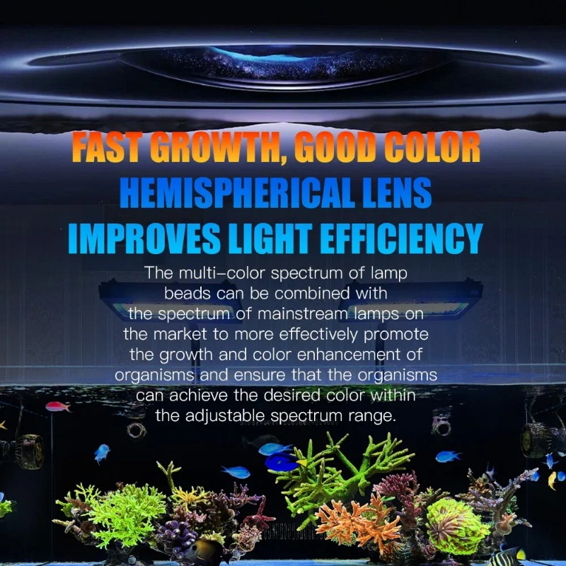 A8Pro II Max Coral Reef Marine - đánh giá và giá Marine Coral