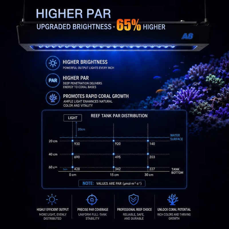 AIPAI A8 III Series A8SE/A8 Pr - đánh giá và giá Marine Coral