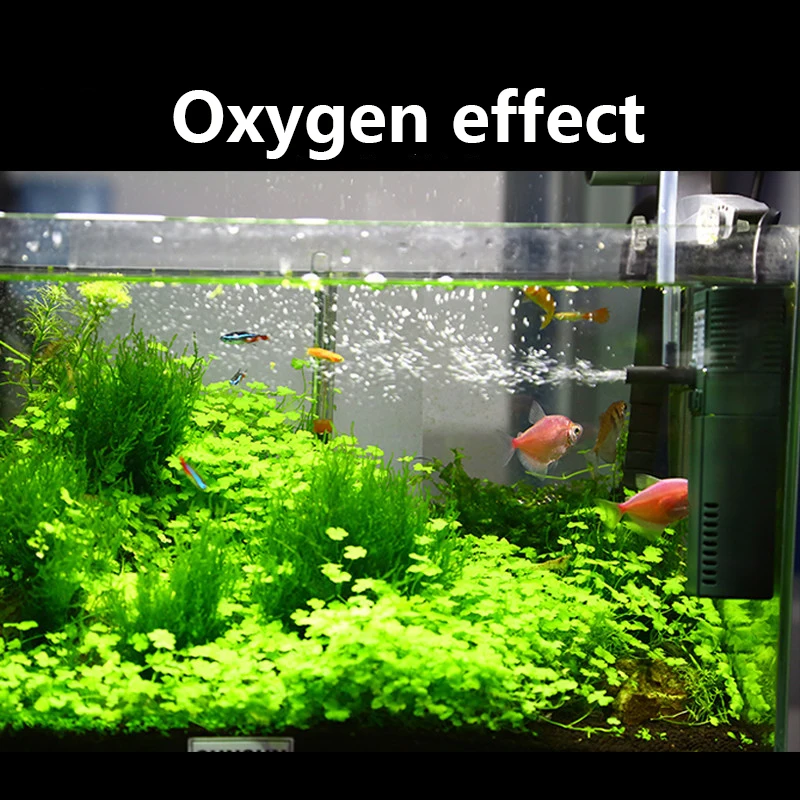 SUNSUN Nano Mini Xây Dựng Nội  - đánh giá và giá Reef Tank Filter